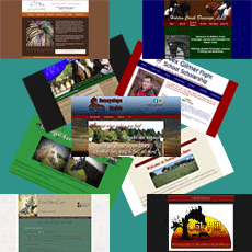 My Portfolio at SLS Website Design